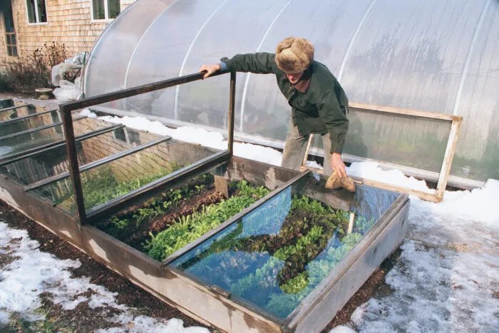 The Secret To Winter Gardening- 10 Winter Gardening Ideas For Your&nbsp;Garden
